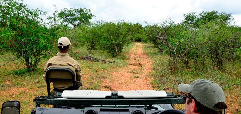 Tingala Lodge - Bed In The Bush Phalaborwa Exterior photo