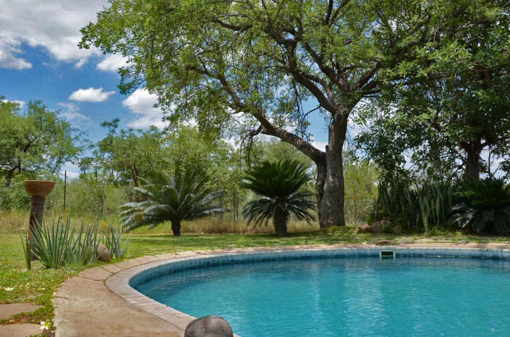 Tingala Lodge - Bed In The Bush Phalaborwa Exterior photo
